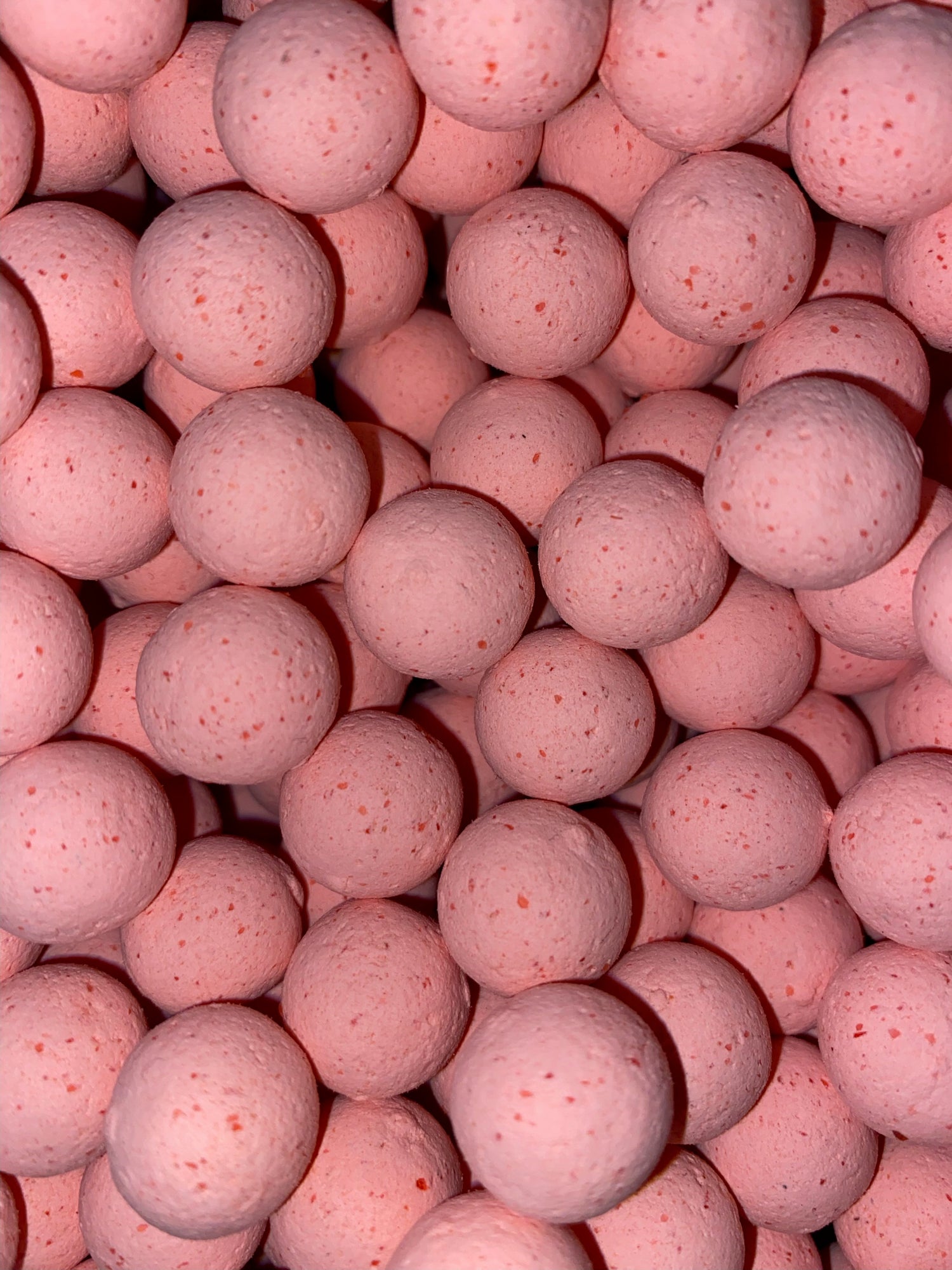 Team members - Hookbait addicts